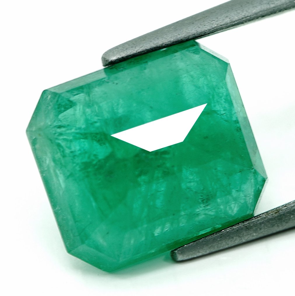 Sans prix de réserve Émeraude - 6.20 ct - Bellerophon Gemlab #3.2