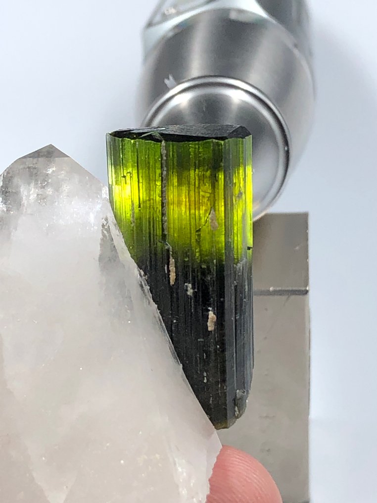 Natural Tourmaline Crystal Combined With Quartz Crystal. Crystals - Height: 66 mm - Width: 38 mm- 61.69 g - (1) #3.2