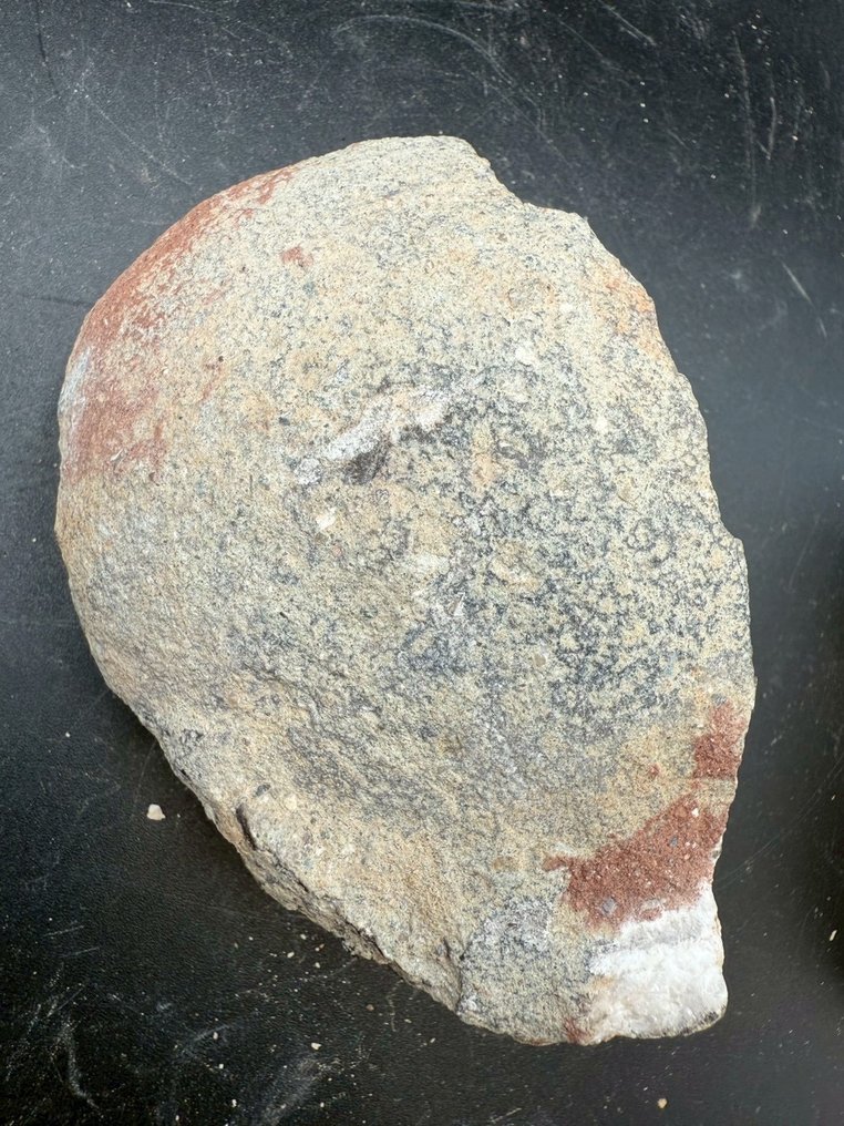 Dinosaurier - Fossil-Matrix - crystallized dinosaur egg nest - 12 cm - 12 cm #4.3