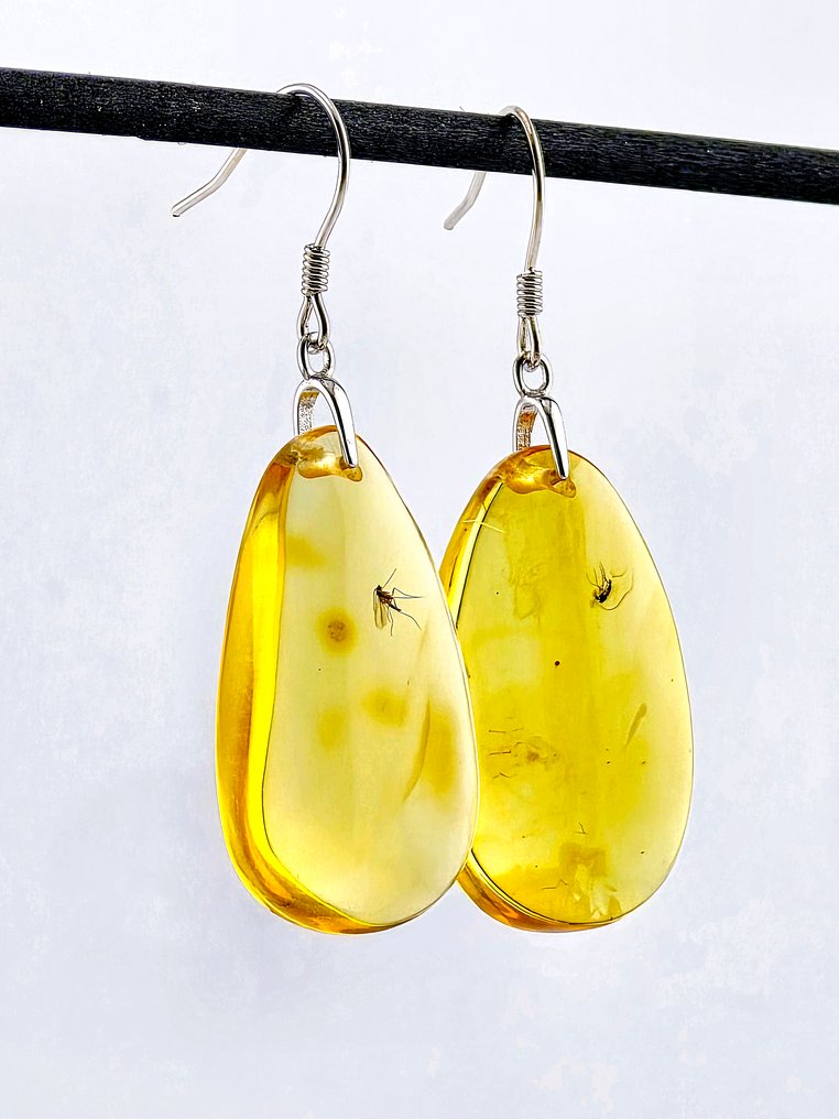 真正的化石琥珀耳环 • 雄性和雌性蚊蝇 • 波罗的海地区,拥有4500万年历史 - 琥珀 (沒有保留價) #2.1