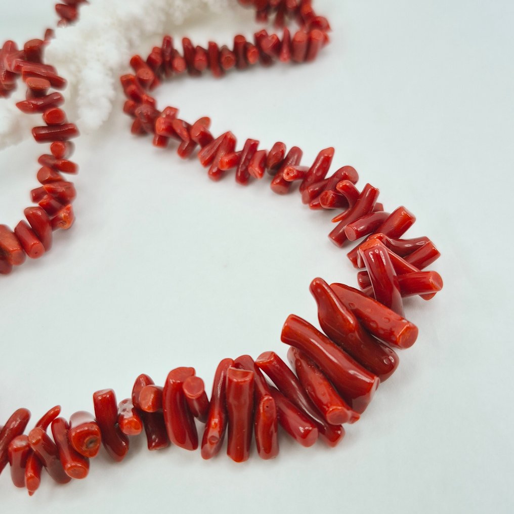 Corallo di sangue - Argento - Collana - CORALLO MEDITERRANEO #3.2