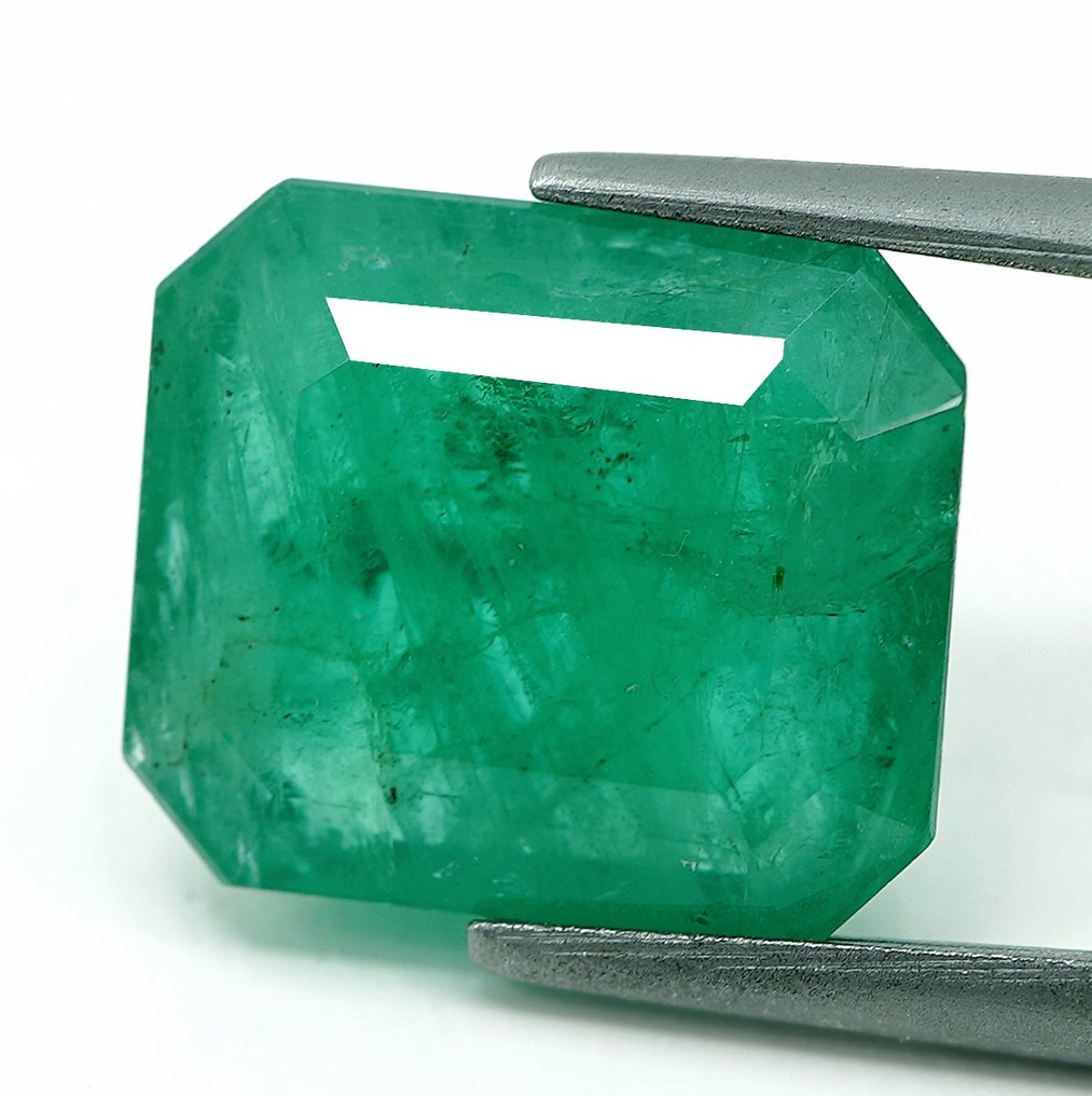 Sans prix de réserve Émeraude - 6.20 ct - Bellerophon Gemlab #1.0