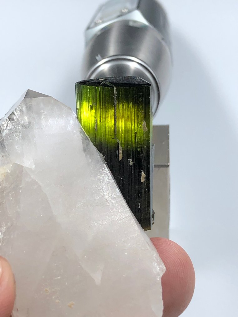 Natural Tourmaline Crystal Combined With Quartz Crystal. Crystals - Height: 66 mm - Width: 38 mm- 61.69 g - (1) #1.0