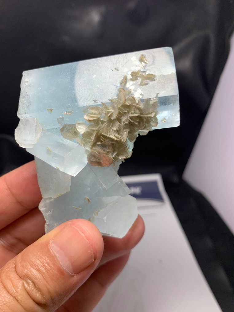 Super gruppo estetico acquamarina Cristallo - Altezza: 55 mm - Larghezza: 70 mm- 140 g - (1) #1.0