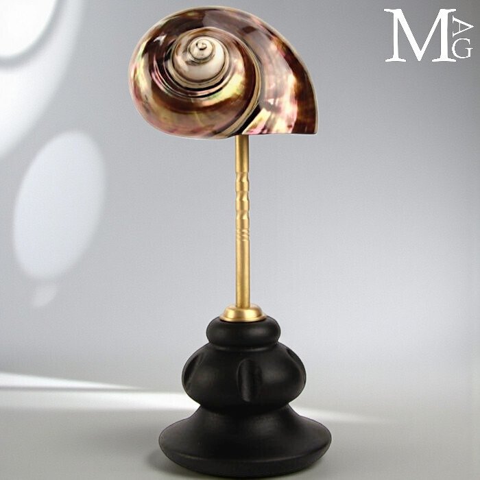 Turbo Sarmaticus – Φυσική Κομψότητα σε βάση από ξύλο και μπρούντζο. - Ύψος: 200 mm - Πλάτος: 80 mm- 260 g #1.0