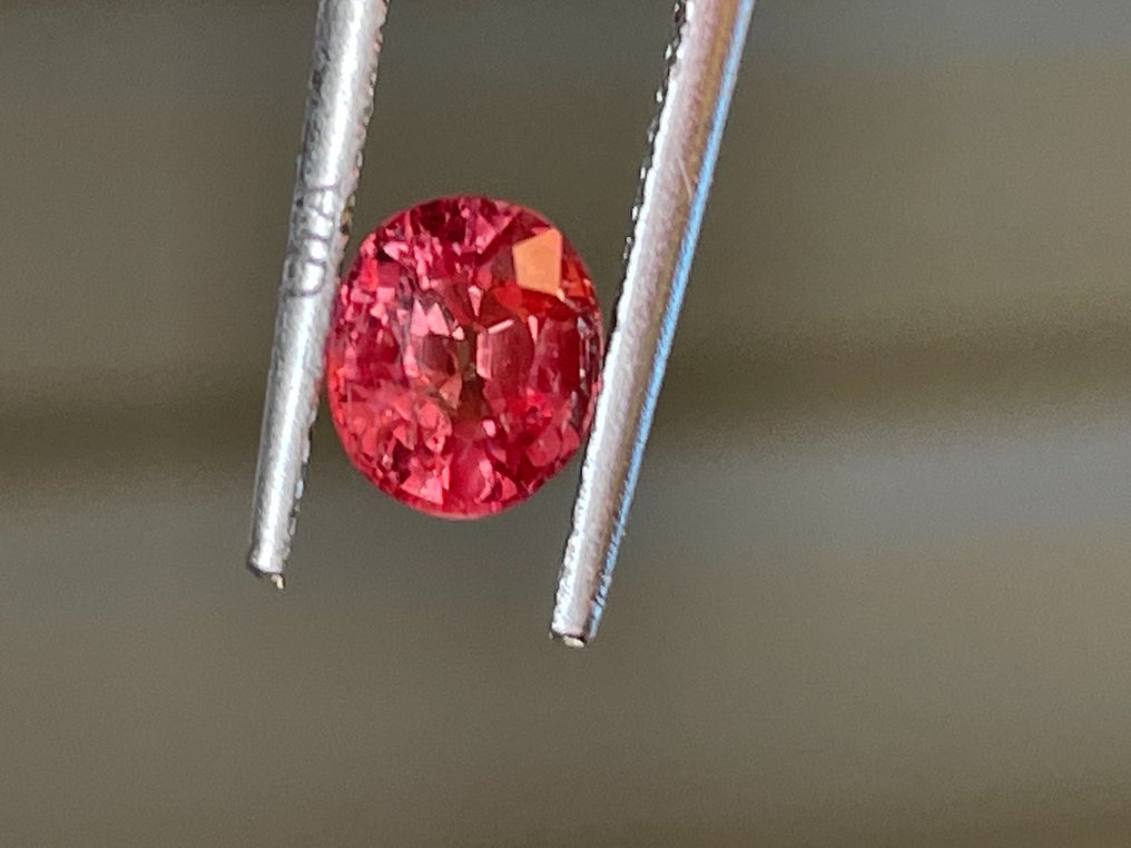 1 pcs Red Ruby - 1.17 ct - Gemological Institute of America (GIA) #1.0