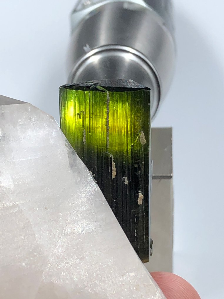 Natural Tourmaline Crystal Combined With Quartz Crystal. Crystals - Height: 66 mm - Width: 38 mm- 61.69 g - (1) #2.1