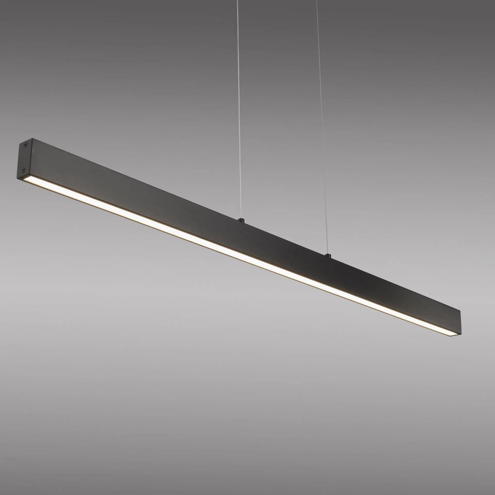 Paul Neuhaus - 吊燈 - Vi2 - 黑色 - 金屬 #2.1