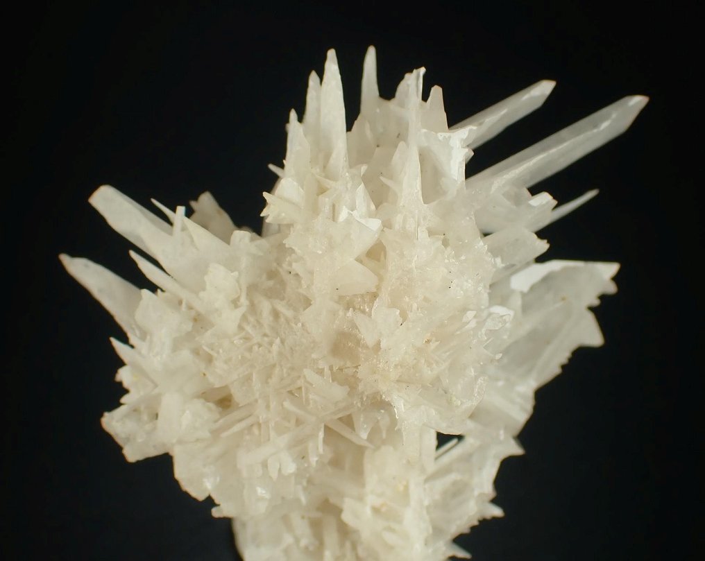 Cerussite "Snow Flake" Crystal cluster - Height: 33 mm - Width: 25 mm- 24 g #1.0