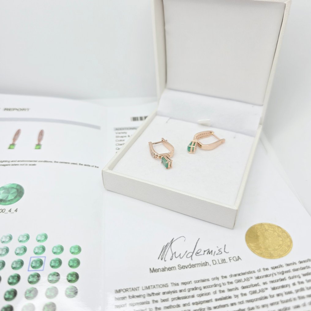 没有保留价 - 耳环 - 14K包金 玫瑰金 - 1.45ct. tw. 绿柱石 - 钻石 #2.1