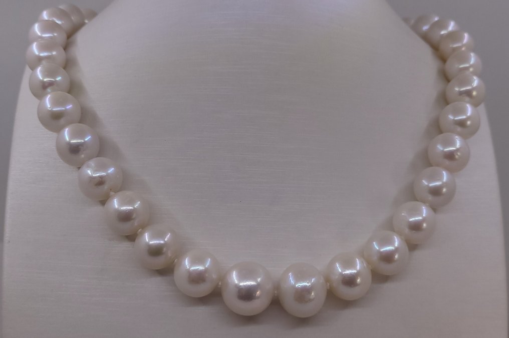 Zonder minimumprijs - Halsketting Grote maat - 11,5x14,5mm ronde witte Edisonparels, Zilver #1.0