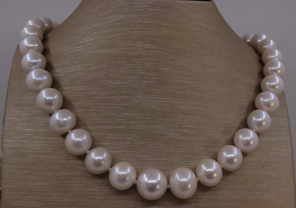 Zonder minimumprijs - Halsketting Grote maat - 11,5x14,5mm ronde witte Edisonparels, Zilver #3.2