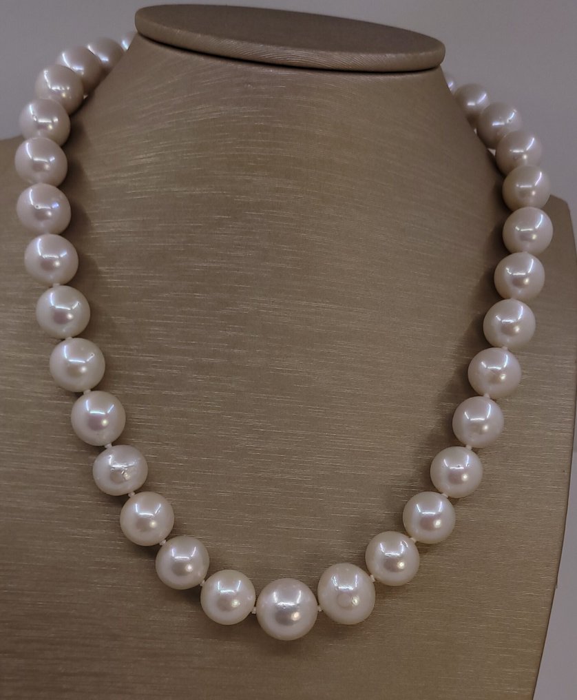 Zonder minimumprijs - Halsketting Grote maat - 11,5x14,5mm ronde witte Edisonparels, Zilver #4.3