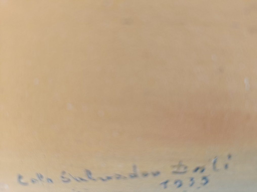 Salvador Dalí (after) - Paranoia con flores y coche - Paisaje #3.2