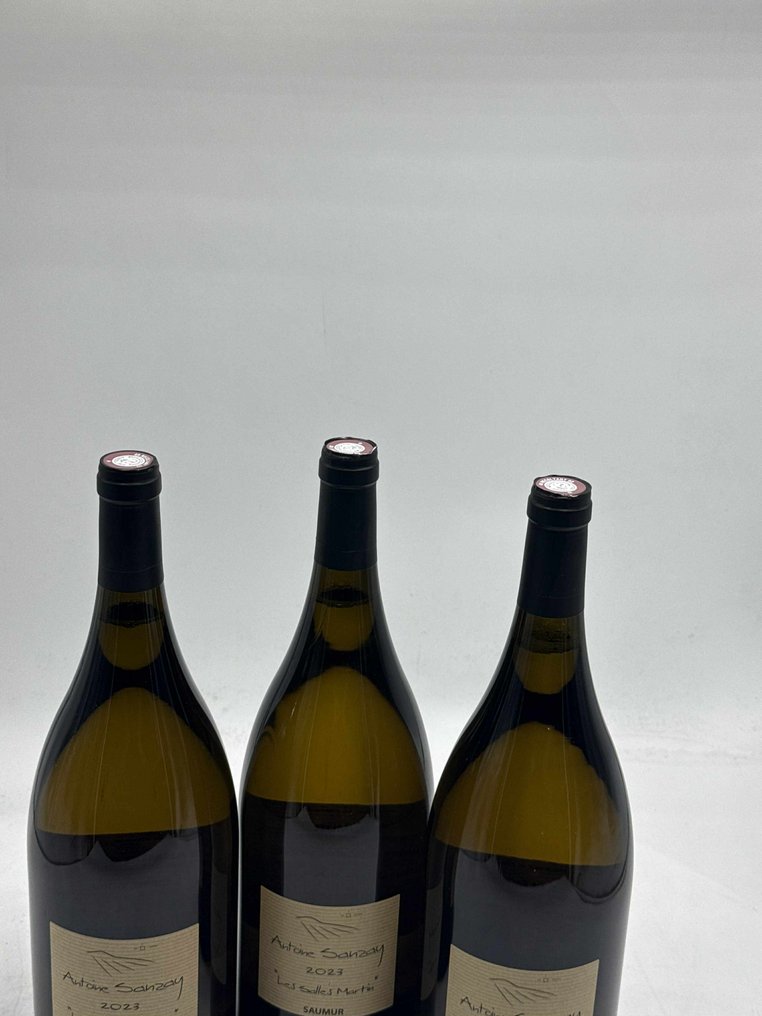 2023 Antoine Sanzay, Les Salles Martin - Saumur - 3 Magnum (1,5 L) #3.2