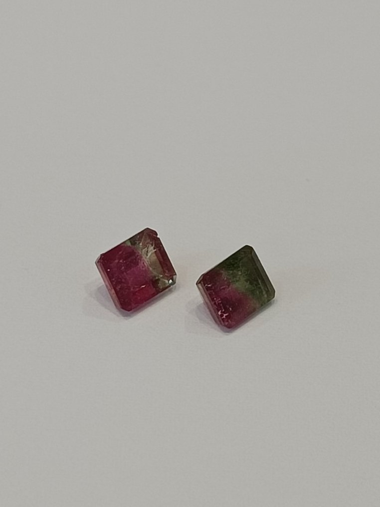 2 pcs  绿色, 粉色 电气石  - 2.46 ct - 西班牙宝石学院（IGE） #3.2