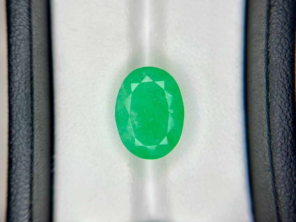 没有保留价 - 1 pcs 绿色 祖母绿 - 6.77 ct - Bellerophon 宝石实验室 - 罕见的哥伦比亚祖母绿 #1.0