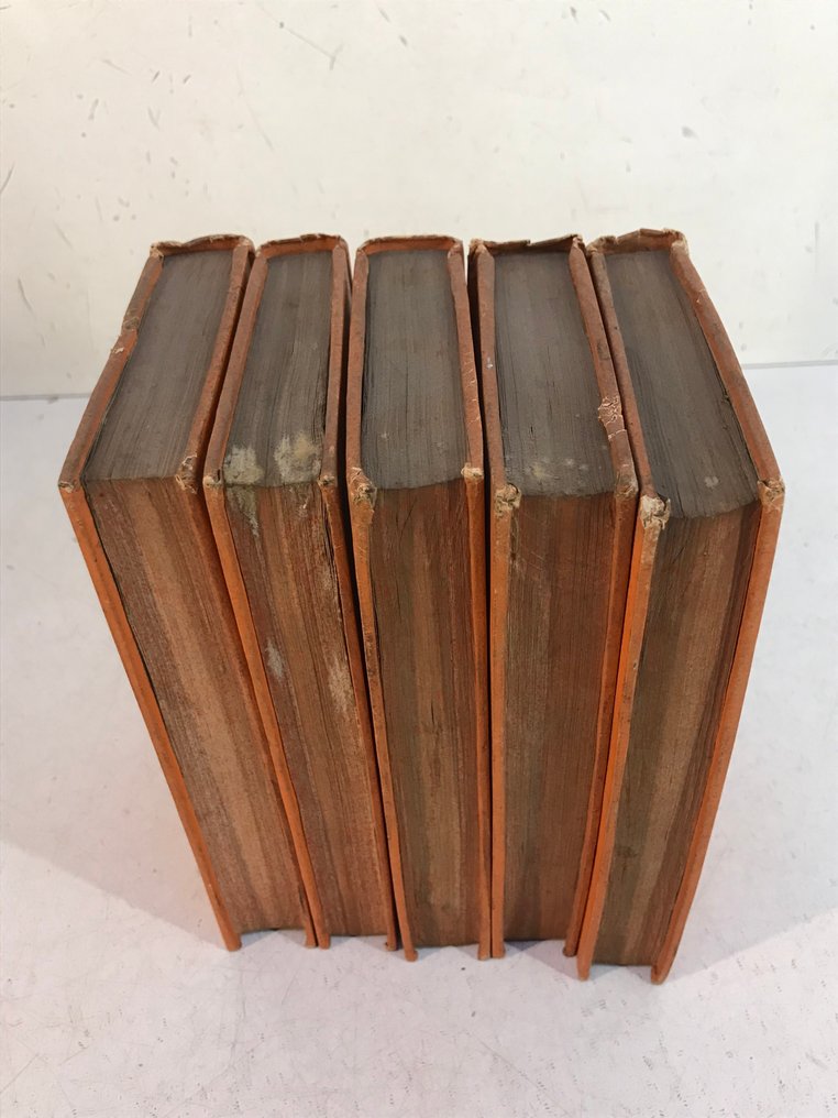 Pierre-Joseph Buc'Hoz - La Nature considérée sous ses différents aspects, ou Lettres sur les animaux, les végétaux et les - 1780-1783 #1.0