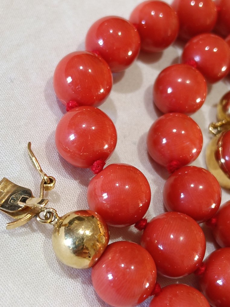 项链 - 18K包金 黄金 血珊瑚 - 血珊瑚 - 珍贵且稀有的项链 #1.0