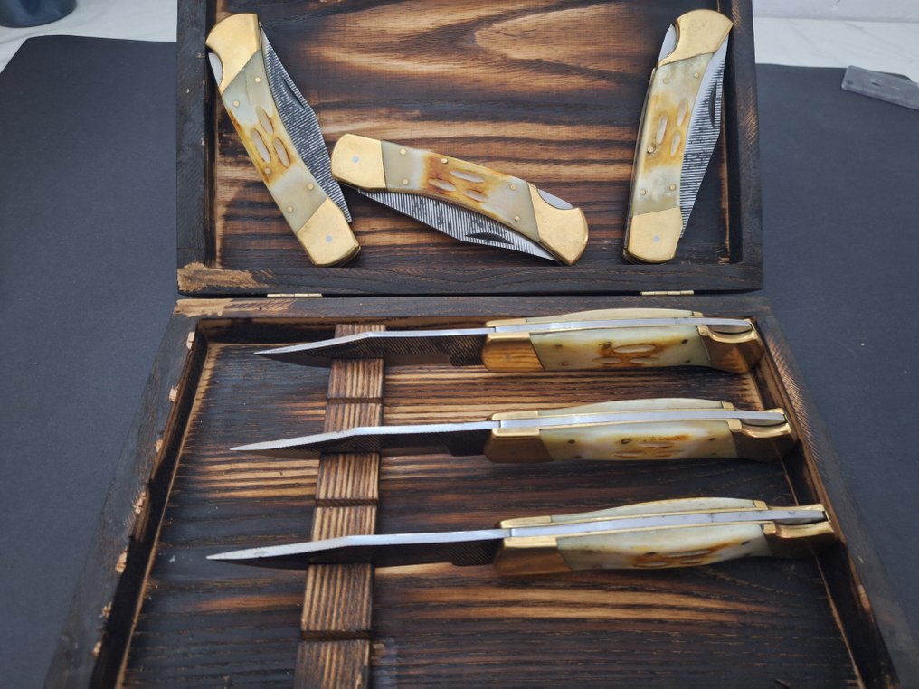 K.Roman K.Romain - Kitchen knife - Kitchen knife set -  La Coutellerie De Romain Laguiole Bougna Kitchen Knives Prestigious Presented in Box - Steel, Bone, Wood - France #4.3