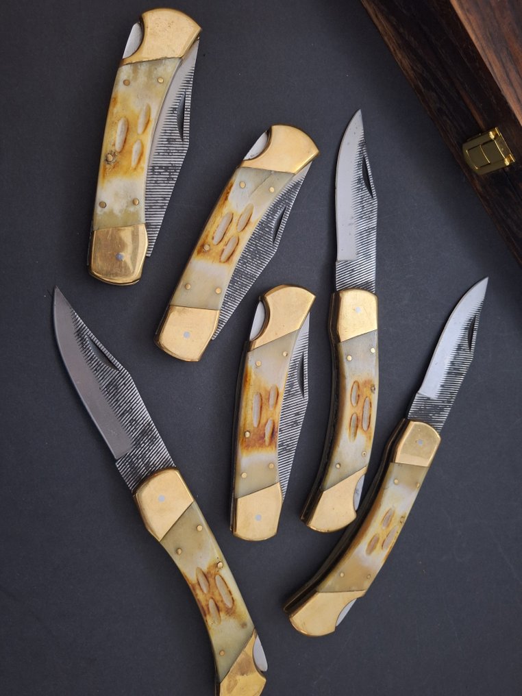 K.Roman K.Romain - Kitchen knife - Kitchen knife set -  La Coutellerie De Romain Laguiole Bougna Kitchen Knives Prestigious Presented in Box - Steel, Bone, Wood - France #2.1