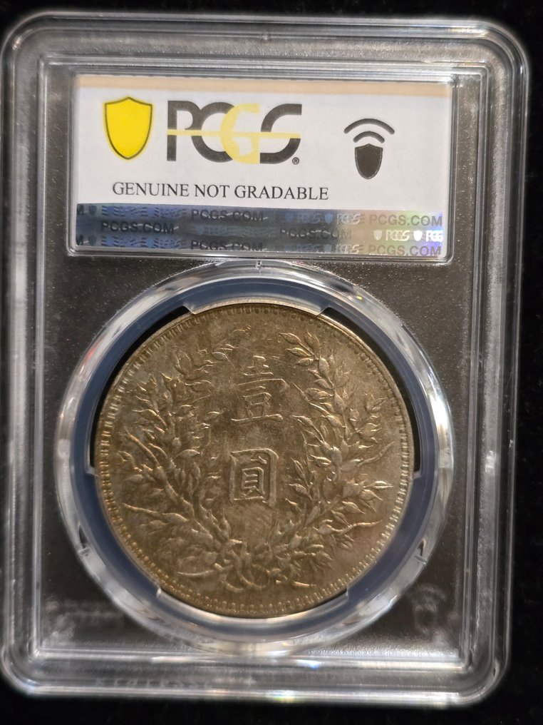 Kiina, Tasavalta 1 Yuan (Dollar) year 10 (1921) #3.2