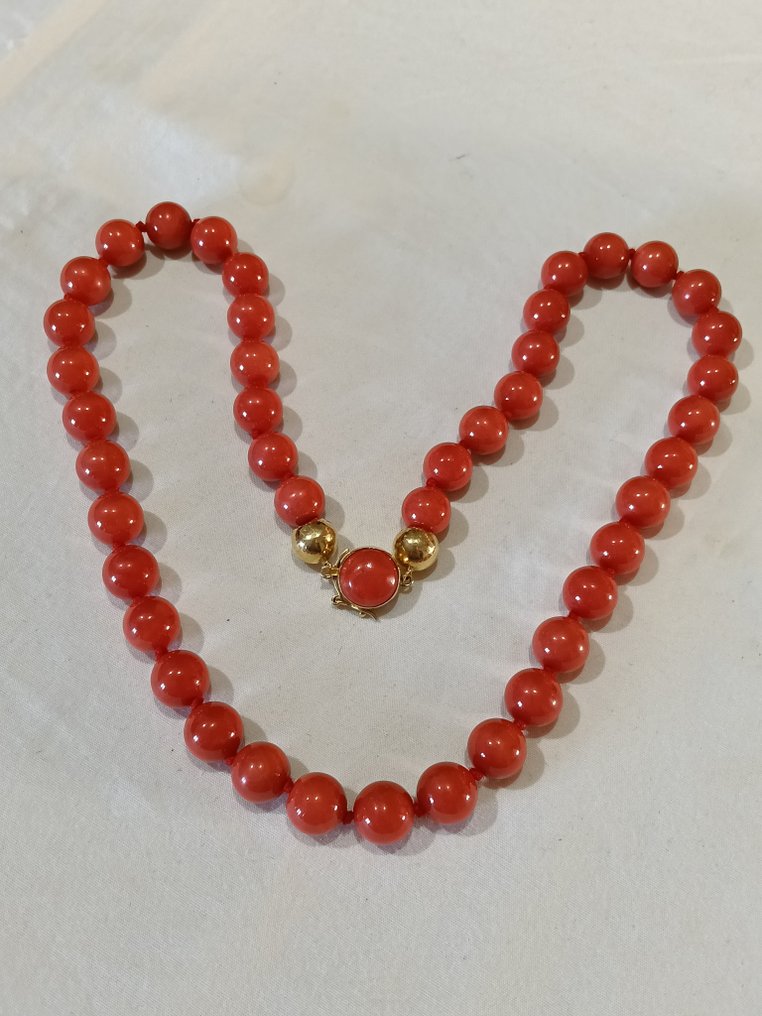 项链 - 18K包金 黄金 血珊瑚 - 血珊瑚 - 珍贵且稀有的项链 #1.0