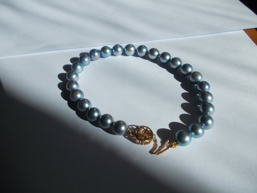 Βραχιόλι - 14 καράτια Κίτρινο χρυσό, Μαργαριτάρι Μαργαριτάρι - Άριστη ποιότητα #1.0