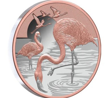 Niue. 1 Dollar 2025 – Flamingos – 1 oz Silver .999 – Proof – Rose Gold Plated – Colorized – Limited Edition #1.0