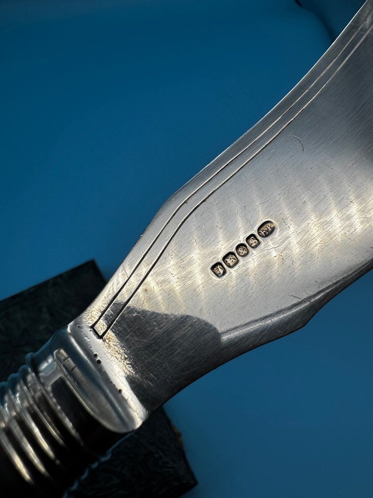 Antique British Fish Cutlery Set – Sterling Silver Collars with Lion Passant & London Hallmarks – - Cutlery set (2) - Silverplated #3.2