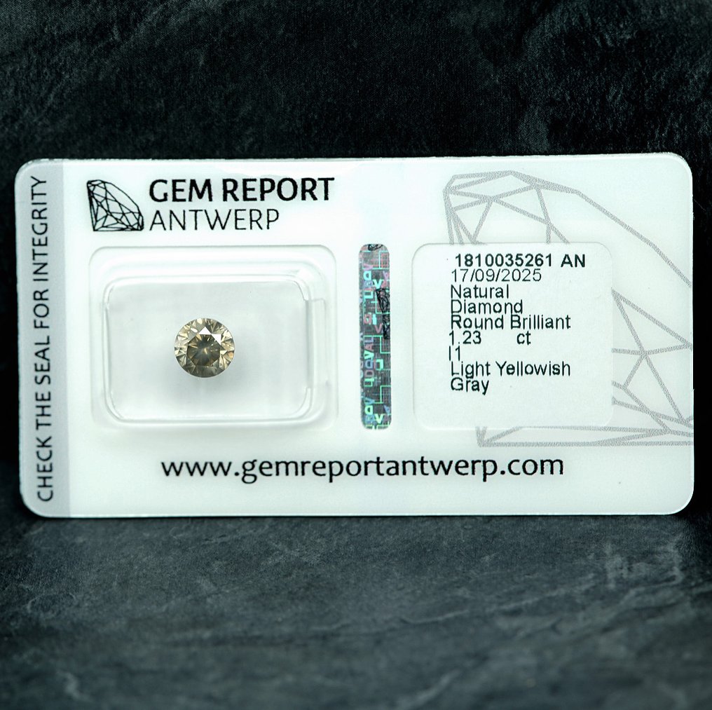 1 pcs Diamant  (Natuurlijk gekleurd)  - 1.23 ct - Rond - Light Geelachtig Grijs - P1 - Gem Report Antwerp (GRA) #1.0