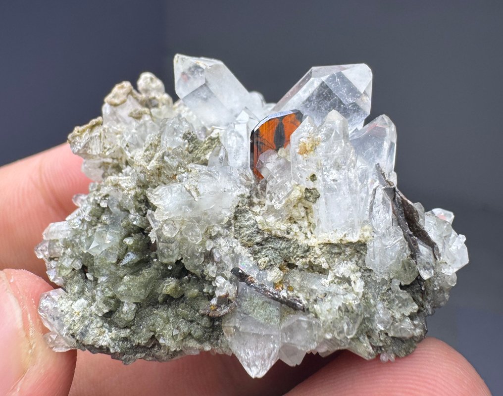 Rendkívül ritka! Phantom Red Brookite kristály chlorit kvarcban Kristálymátrix - Magasság: 27 mm - Szélesség: 44 mm- 28 g - (1) #2.1