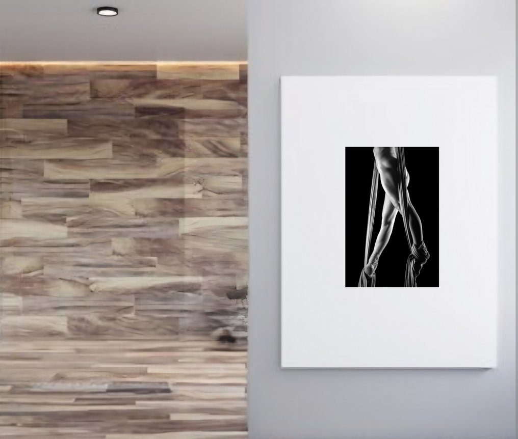 Daniela Scanu - La mia musa il percorso della creazione. (dalla mostra personale) #4.3