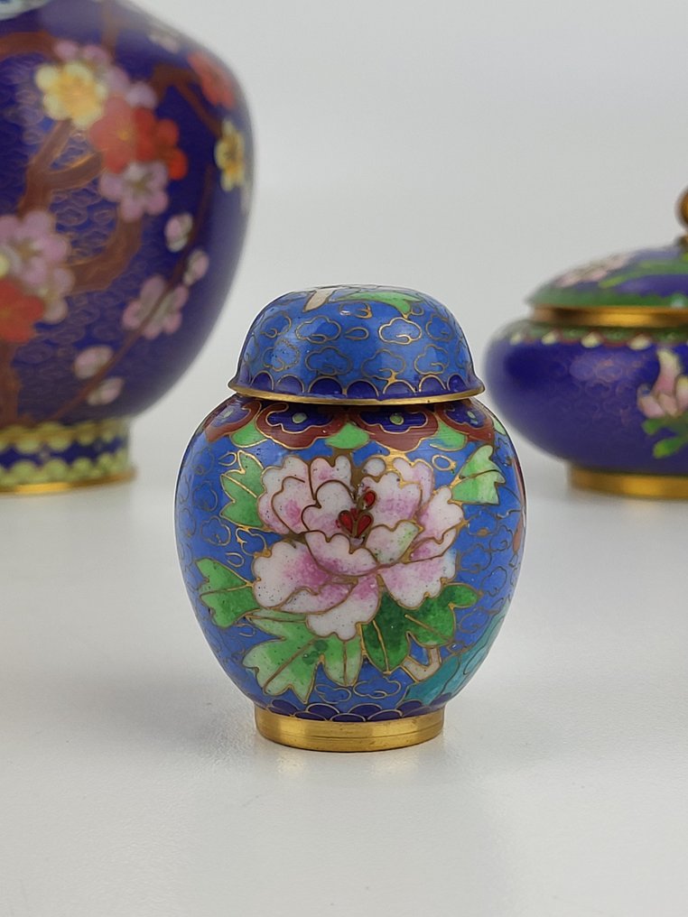 花瓶 - Cloisonne - 中國 - Cloisonne 艺术品 (沒有保留價) #1.0