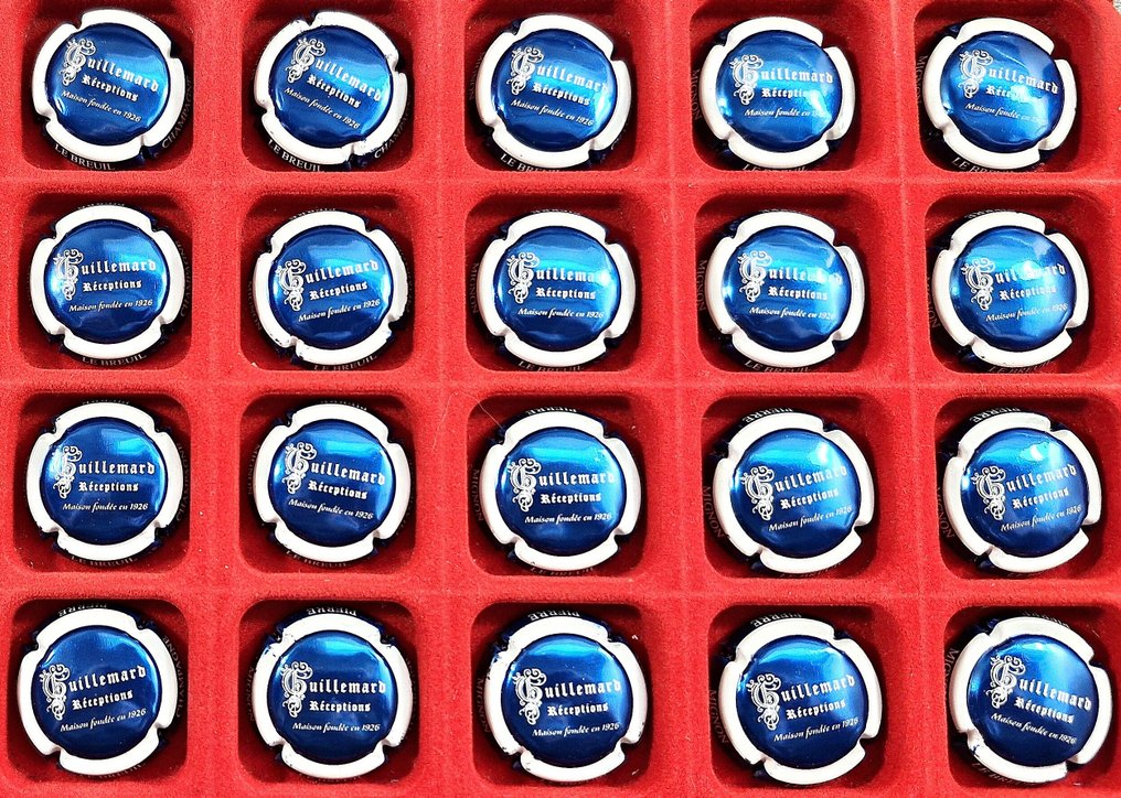 香檳瓶蓋帽系列 - 20个装 MIGNON Pierre 胶囊 #1.0