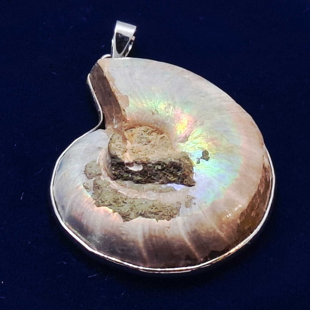 Laminiertes Silber. - Anhänger - Ammonitenfossil. #2.1