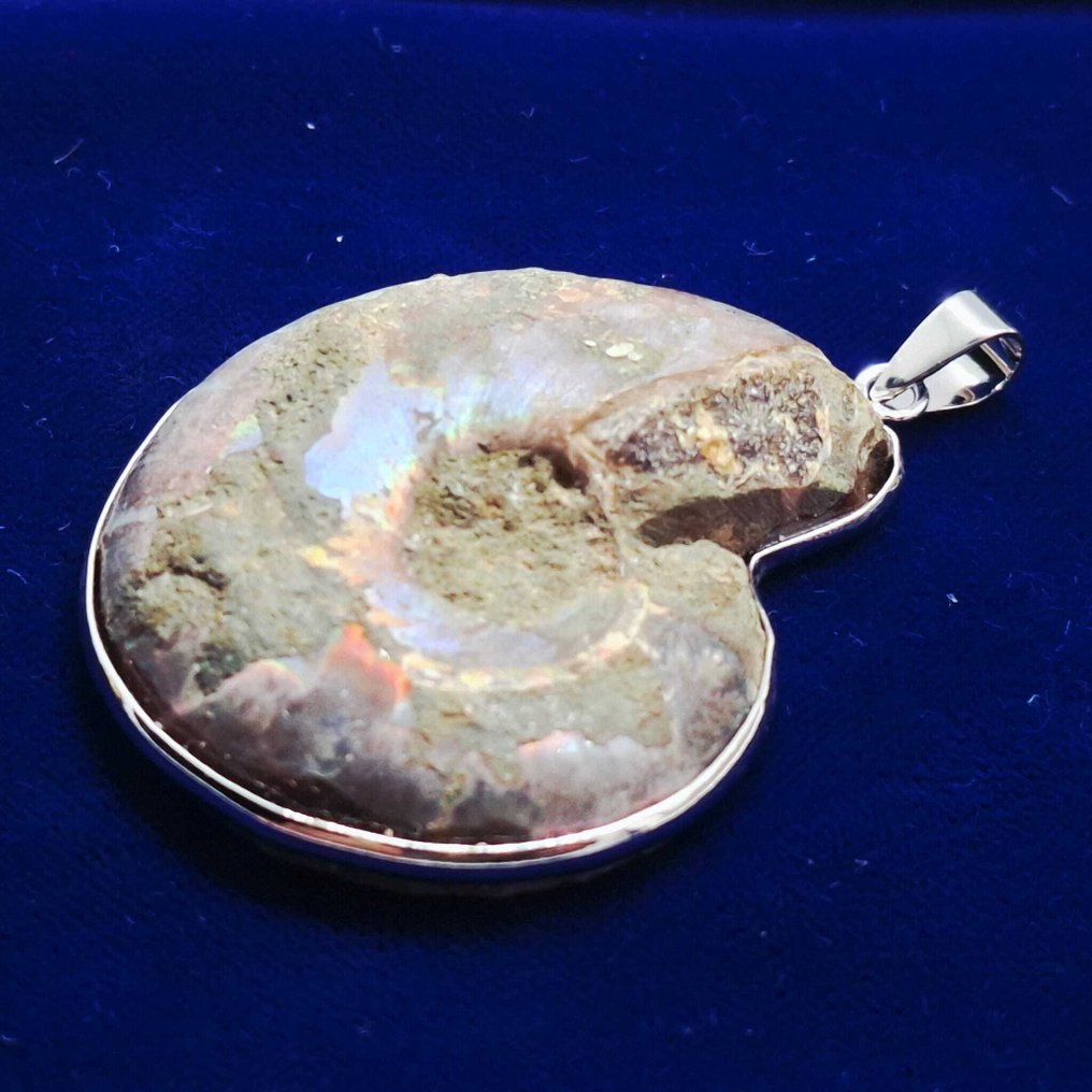 laminated silver - Pendant - Ammonite fossil #3.2