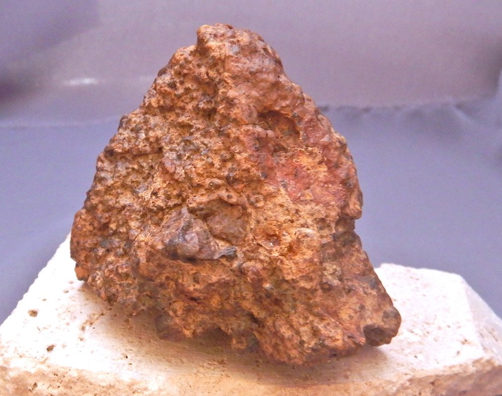 Chondrite Chondrite Meteorite - 313 g - (1) #3.2
