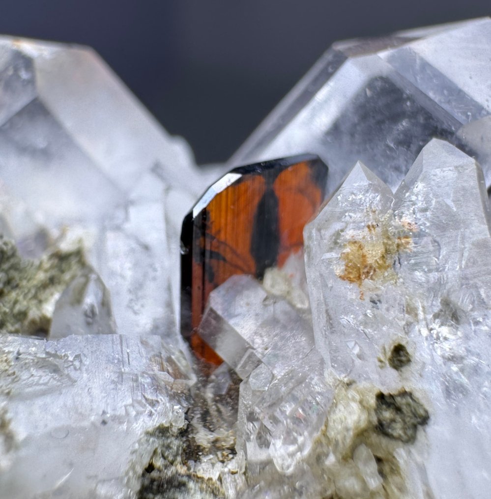 Rendkívül ritka! Phantom Red Brookite kristály chlorit kvarcban Kristálymátrix - Magasság: 27 mm - Szélesség: 44 mm- 28 g - (1) #3.2