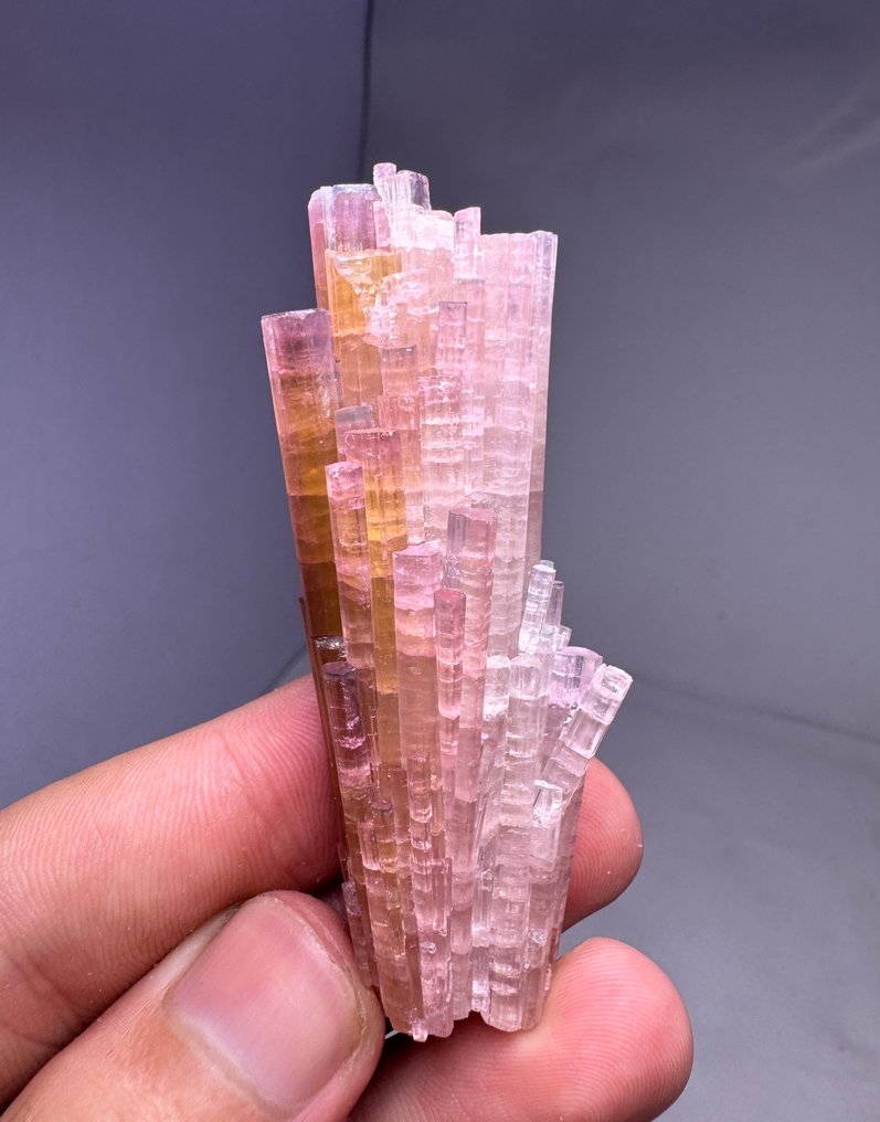Extremely Rare! Pinkish & Blue Cap Tourmaline Crystals - Height: 76 mm - Width: 23 mm- 54 g - (1) #3.2