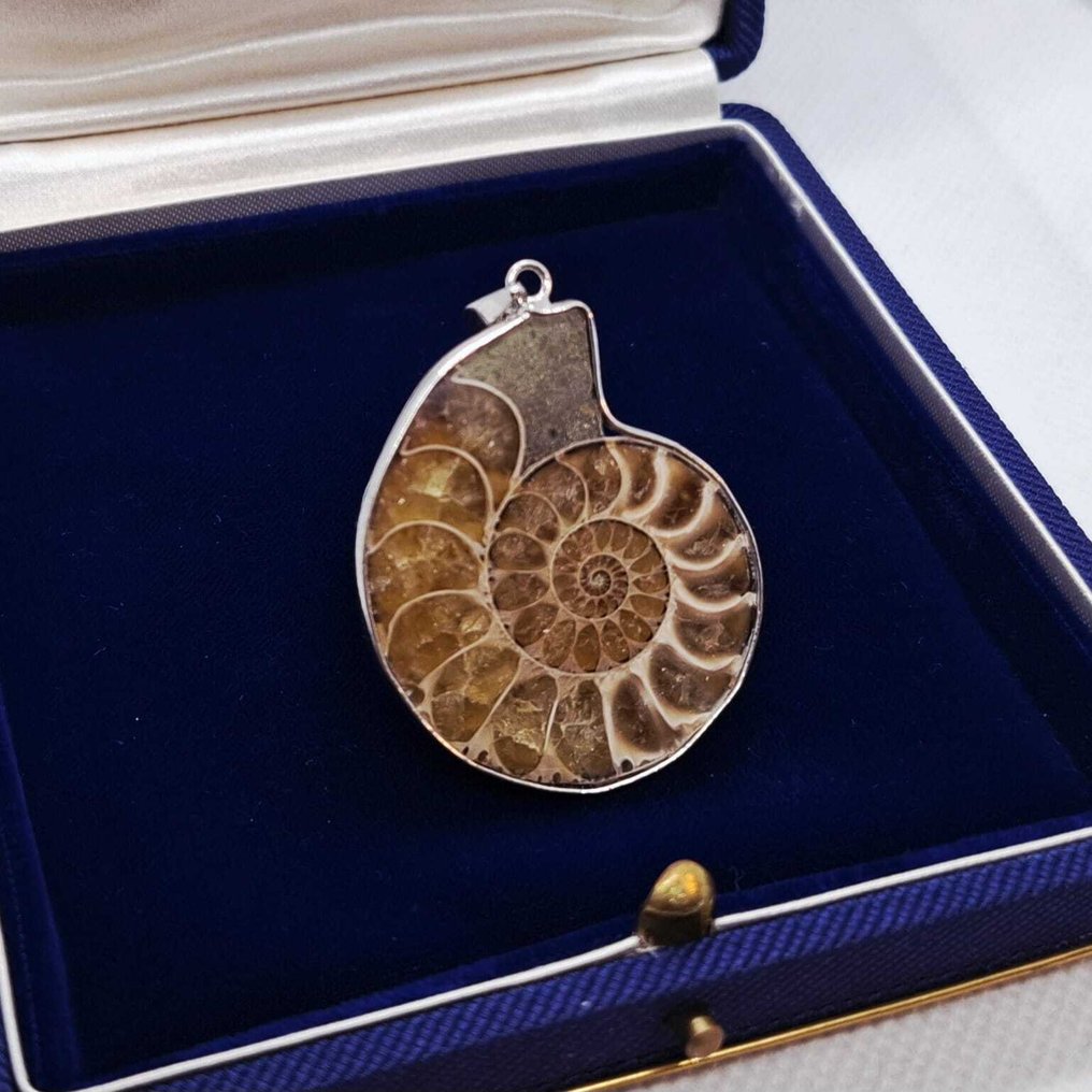 Laminiertes Silber. - Anhänger - Ammonitenfossil. #1.0