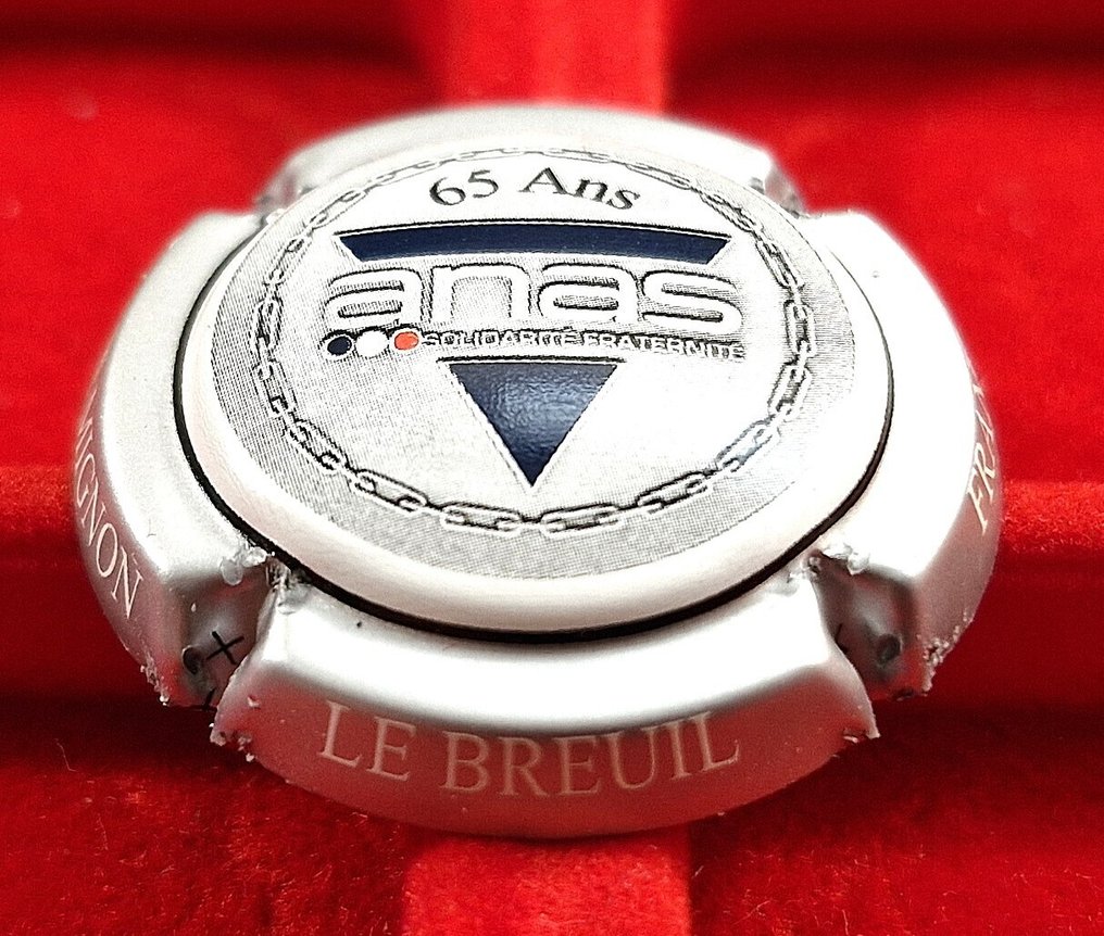 Champagnerdeckelsammlung - Paket mit 20 MIGNON Pierre Kapseln #1.0