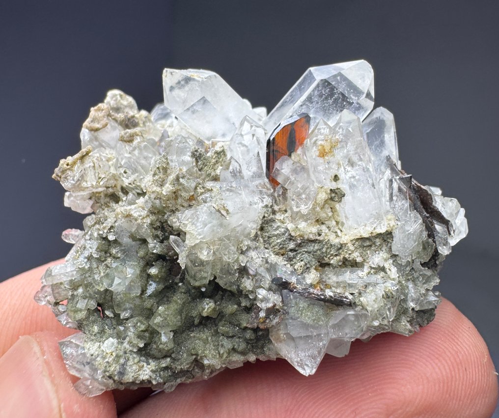 Rendkívül ritka! Phantom Red Brookite kristály chlorit kvarcban Kristálymátrix - Magasság: 27 mm - Szélesség: 44 mm- 28 g - (1) #1.0