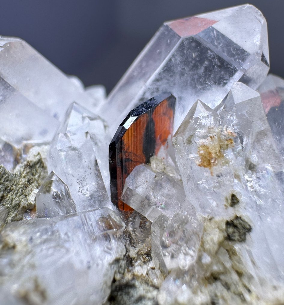 Rendkívül ritka! Phantom Red Brookite kristály chlorit kvarcban Kristálymátrix - Magasság: 27 mm - Szélesség: 44 mm- 28 g - (1) #4.3