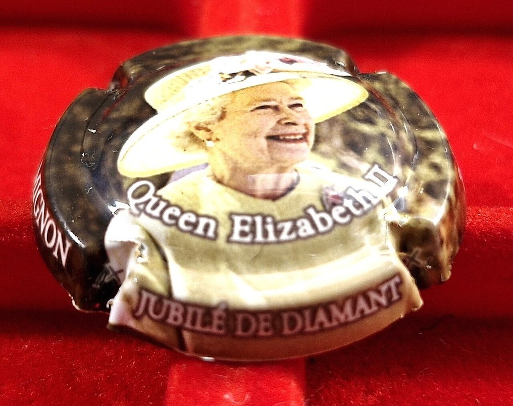 香檳瓶蓋帽系列 - 20个装 MIGNON Pierre 胶囊 #1.0