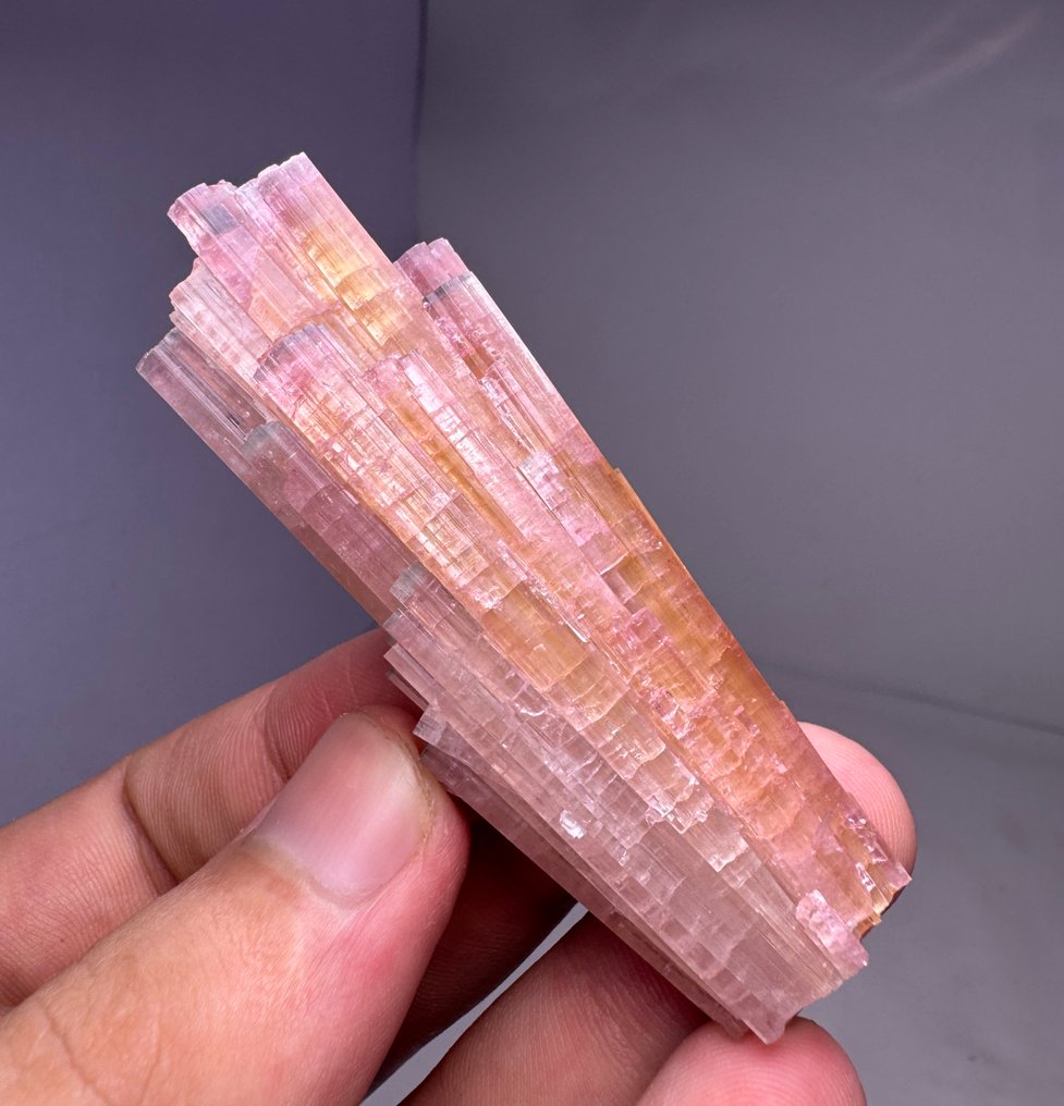 Extremely Rare! Pinkish & Blue Cap Tourmaline Crystals - Height: 76 mm - Width: 23 mm- 54 g - (1) #1.0