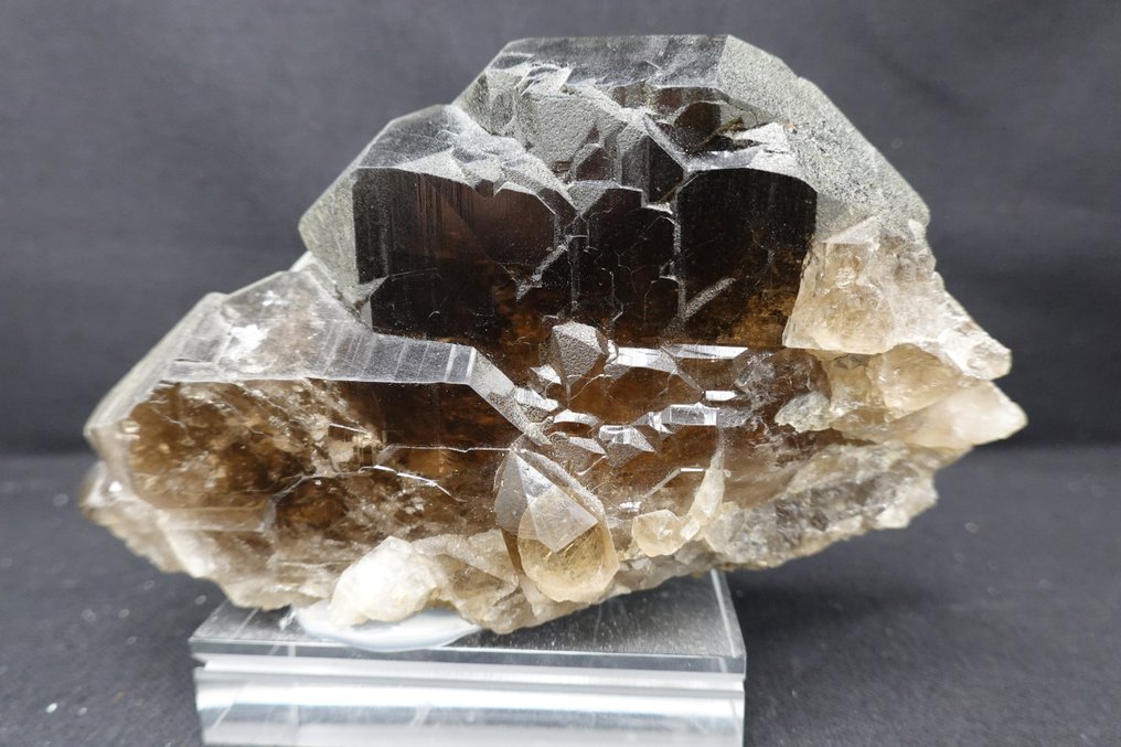 Nice colourful Smoky Quartz var Gwindel Specimen - Height: 13 cm - Width: 7.5 cm- 460 g #2.1