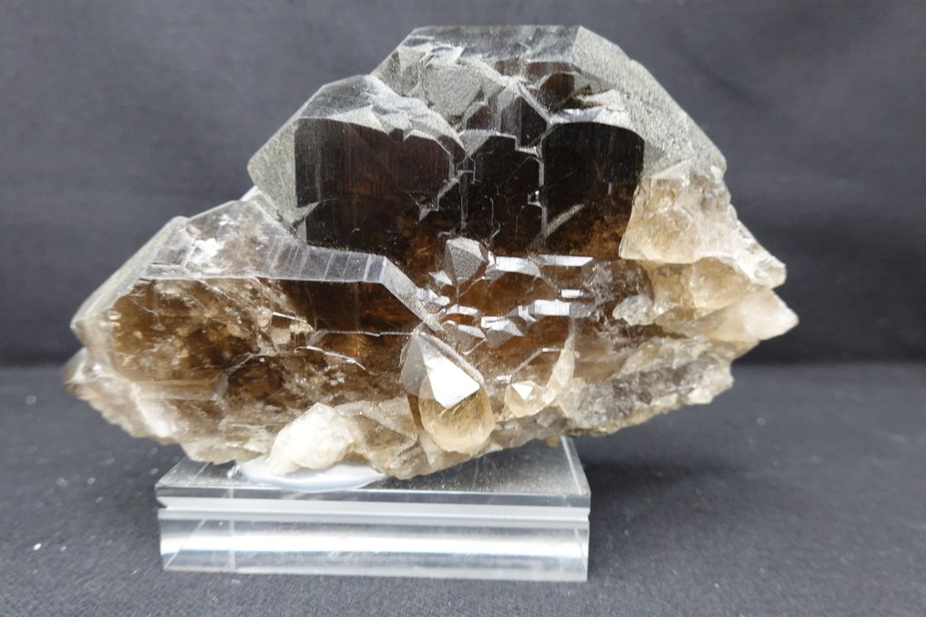 Nice colourful Smoky Quartz var Gwindel Specimen - Height: 13 cm - Width: 7.5 cm- 460 g #1.0