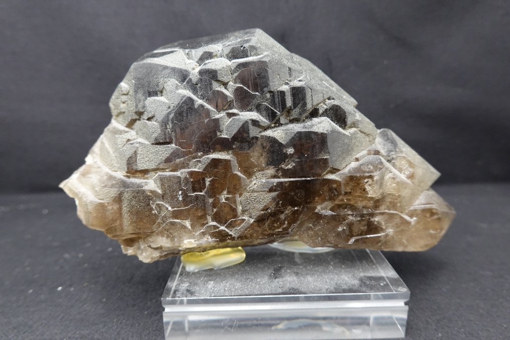 Nice colourful Smoky Quartz var Gwindel Specimen - Height: 13 cm - Width: 7.5 cm- 460 g #4.3