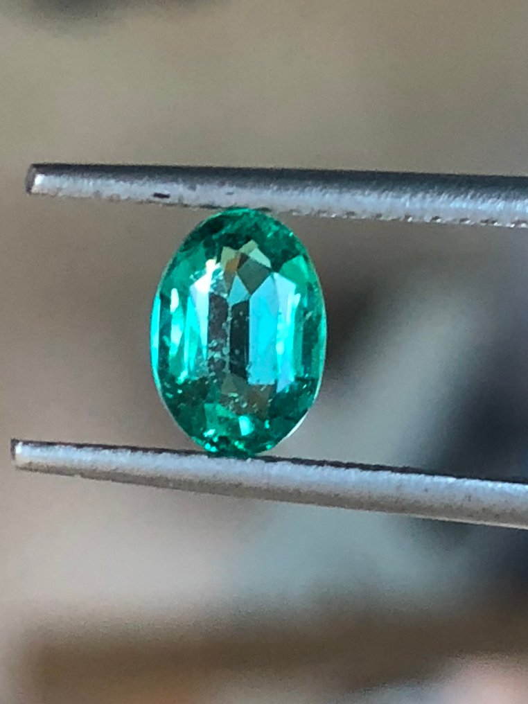 1 pcs 绿色 祖母绿 - 0.75 ct - 国际宝石研究院(IGI) - 无底价 #2.1